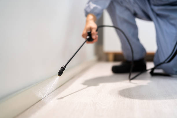 Bed Bug Pre-Treatment Preparation Assessment in East Ithaca