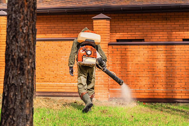 Bed Bug Clearance Verification and Documentation in East Ithaca